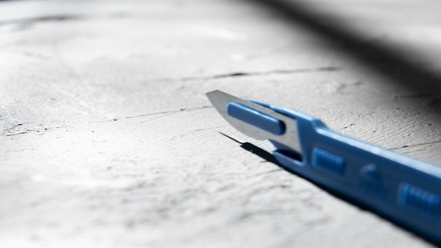 Taglierino Professionale: La Scelta Ideale per Ogni Lavoro di Precisione