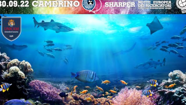 San Benedetto del Tronto, Notte europea dei ricercatori: appuntamenti con Unicam