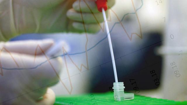Coronavirus, stabili i casi nella provincia di Ascoli. I numeri dei singoli comuni