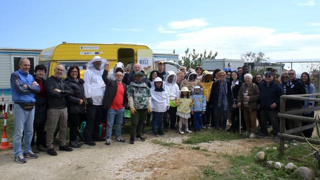Grottammare: Api Gold Picene, manifestazione per un'apicoltura sostenibile