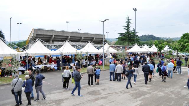 Ascoli Piceno: a Monticelli torna il 'Mercatino di solidarietà', momento di incontro e generosità
