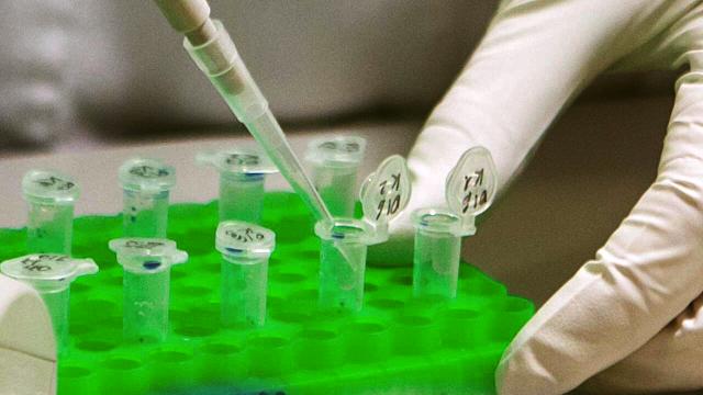 Coronavirus Marche: aggiornamento settimana 24-30 Marzo. Scende ancora numero nuovi casi con tasso incidenza a 16