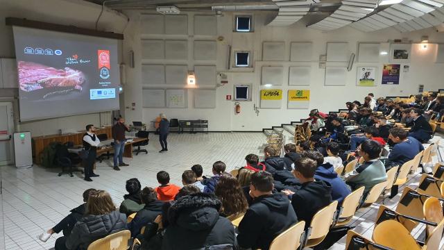A lezione di Vitellone Bianco dell’Appennino Centrale IGP, per riconoscere la qualità della carne certificata