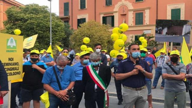 Italia invasa dai cinghiali: sono 2,3 milioni, Coldiretti invoca abbattimenti immediati
