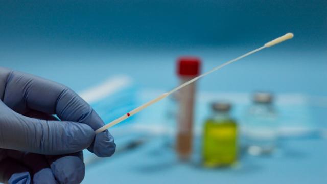 Covid Monteprandone, Comune finanzia tamponi scuola primaria per garantire lezioni in presenza in sicurezza