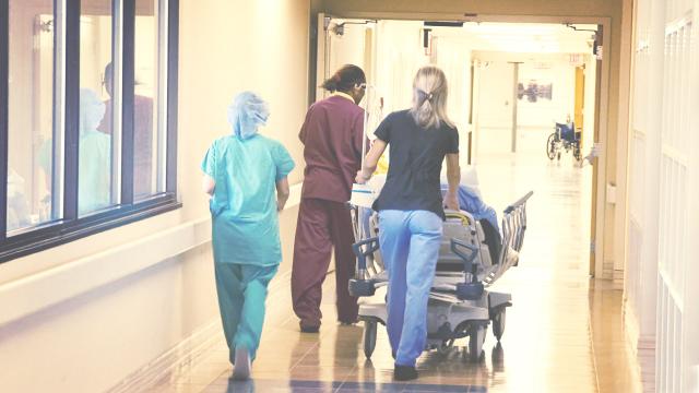 Regione Marche, nove decessi nelle ultime 24 ore. Nessuna vittima in provincia di Ascoli Piceno