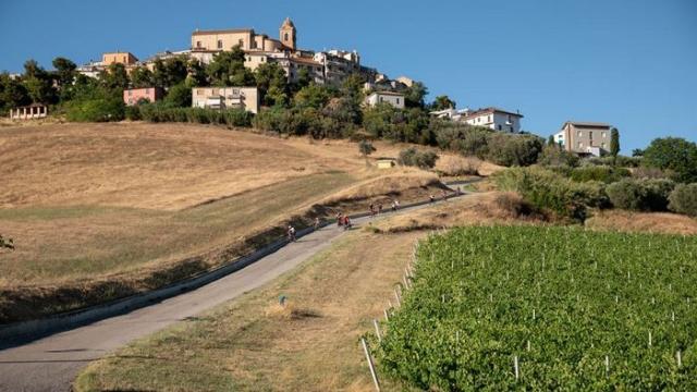 Offida, nuove imprese e studi professionali: al via il bando da 7 milioni con contributi a fondo perduto