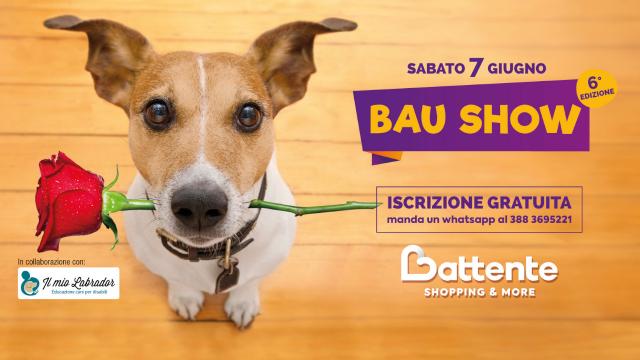 Ascoli Piceno, al Battente Shopping&More torna il ''Bau Show'': sfilata amatoriale dedicata a cani di razza e meticci