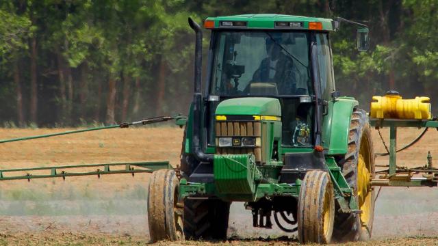 Politica Agricola Comune PAC, Copagri: “Accelerare decreti attuativi per facilitare aziende agricole”