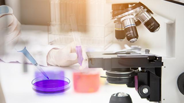 Coronavirus Marche, 852 i nuovi casi su quasi 3500 tamponi effettuati. La situazione nei comuni del Piceno
