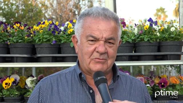 Cia Agricoltori Ascoli: “Buona la produzione di abeti anche se si registra un lieve aumento dei prezzi”
