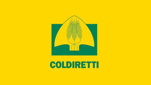 Coldiretti Marche, un terzo del pil agricolo arriva dalle attività secondarie