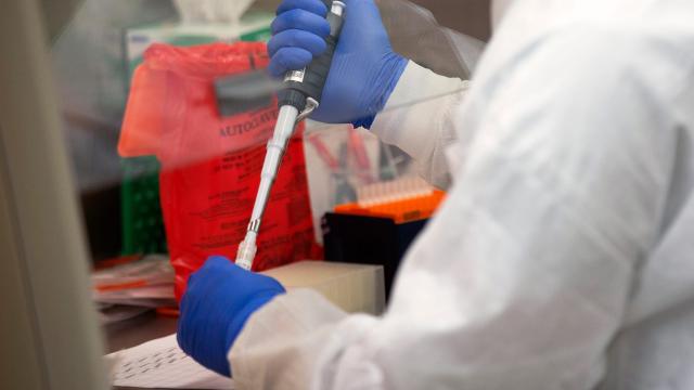 Covid-19 Marche, 446 nuovi casi. Nel comune di Force zero positivi e nessuna persona in quarantena