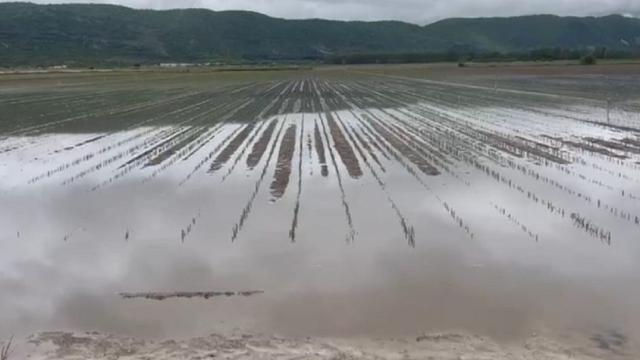 Maltempo, nuovo allarme Coldiretti: ''Sull’Italia 30 nubifragi in un solo giorno''