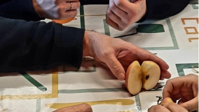 Laboratorio del gusto a San Benedetto del Tronto, successo per il primo appuntamento