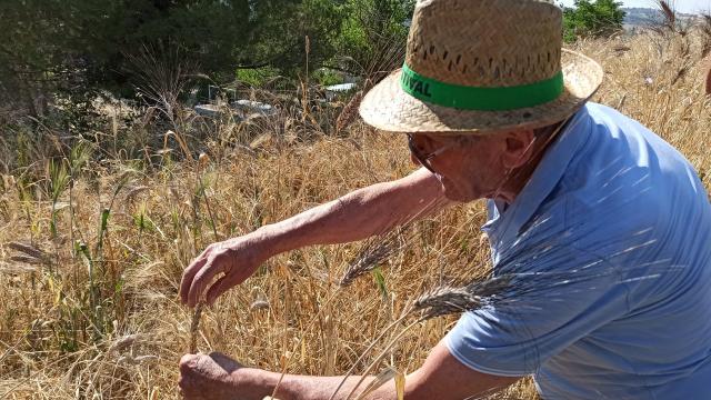 Continua a Grottammare il viaggio del Biodistretto Picenum per far conoscere le aziende biologiche produttrici