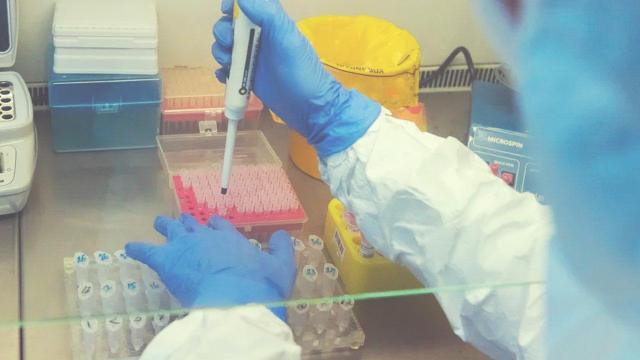 Coronavirus, nelle Marche 517 nuovi positivi. La situazione nei singoli comuni del Piceno