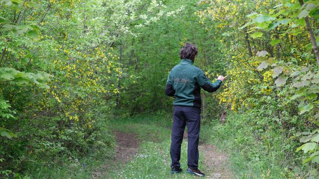 A Montegallo viaggio esplorativo con 'Note di Lavanda': i Monti Sibillini si vestono di profumi e musica