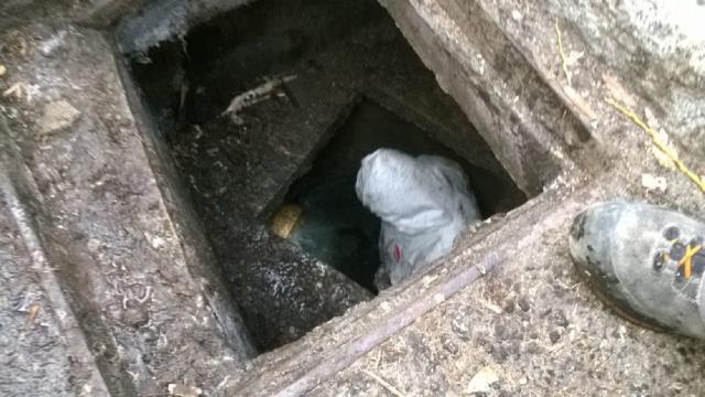 San Benedetto del Tronto, lavori nuova condotta fognaria lungo asse di Via Carducci