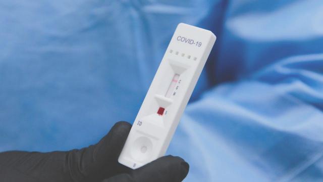 Coronavirus Marche, quasi 800 i nuovi positivi. La situazione nei principali comuni del Piceno