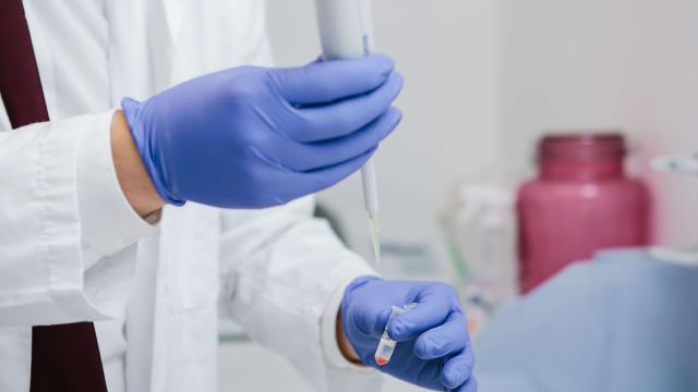 Coronavirus Marche, oltre 700 nuovi positivi. Nove i comuni con meno di 5 casi nel Piceno e tre Covid-free