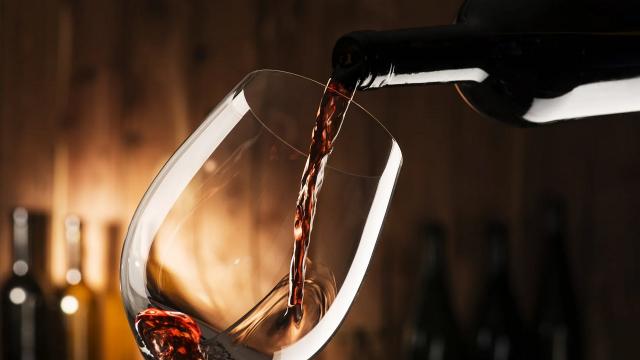 Vinitaly, 76 aziende in partenza con l'Istituto Marchigiano di tutela vini