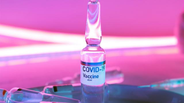 Covid-19, le Marche prima regione per vaccinazioni rispetto alle consegne. Quasi 600mila dosi somministrate