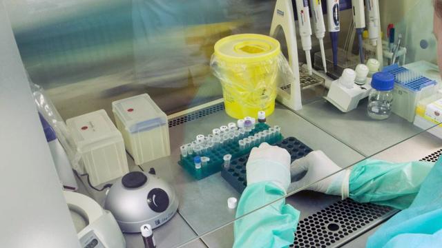 Coronavirus, 467 nuovi casi nelle Marche. Trovati 8 positivi durante screening massa nei comuni piceni