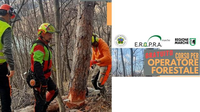 Acquasanta Terme, consegna diplomi di Operatore Forestale ai partecipanti al Corso di formazione di Confagricoltura