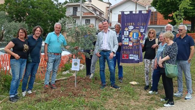 Castel di Lama, Lions Club Ascoli Piceno Colli Truentini dona pianta di olivo di ascolana tenera