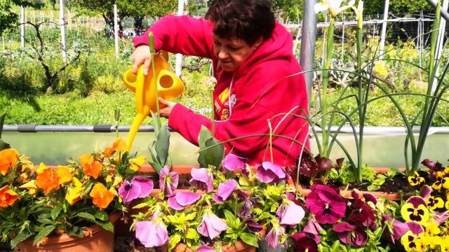 Ascoli: dopo sosta forzata riprende 'Ci Vuole Un Fiore', progetto ANFFAS-Fondazione Carisap a sostegno dei disabili