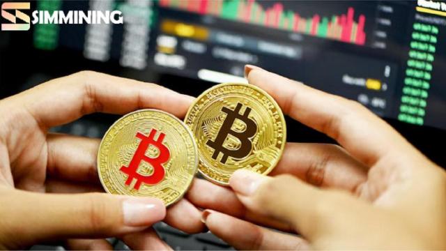 SIM Mining lancia un nuovo servizio di cloud mining per generare facilmente un reddito passivo