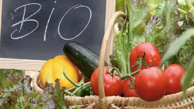Cia Ascoli-Fermo-Macerata, incontro “La nuova frontiera del Bio. Produrre per i consumatori senza l'utilizzo del rame”