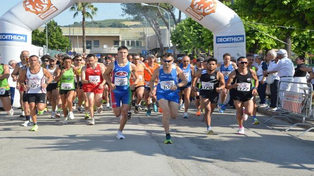 Sole, caldo e tanta voglia di correre: successo a tutto tondo per il Trofeo Avis Spinetoli Pagliare