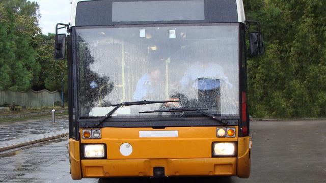 Regione Marche, videconferenza con aziende trasporto pubblico locale su gomma