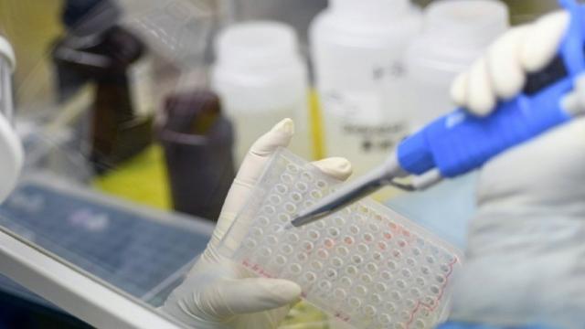 Coronavirus, si registrano altri 14 casi positivi nella provincia di Ascoli Piceno