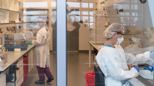 Covid-19, cresce percentuale contagiati nelle Marche. Cinquanta nuovi casi in provincia di Ascoli
