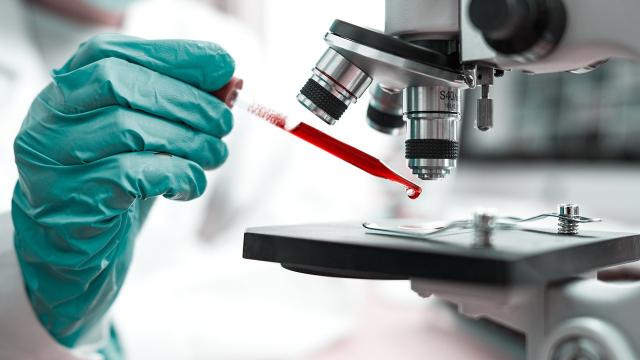 Castel di Lama, sindaco Bochicchio: ''Tre nostri concittadini hanno superato Coronavirus''