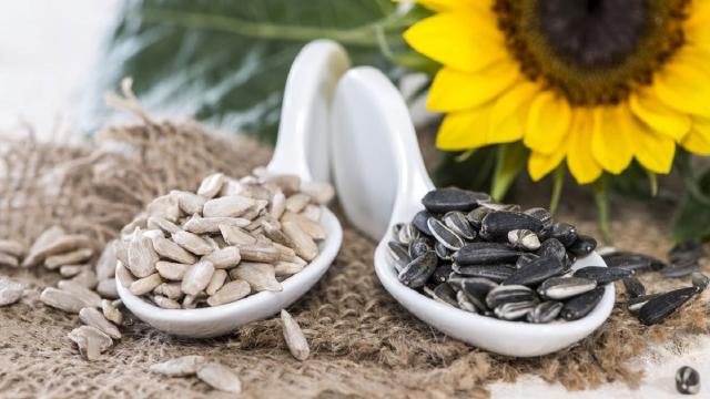 Coldiretti Ascoli-Fermo su prezzi semi di girasole: “Stop alle speculazioni, ci rimettono agricoltori e consumatori”