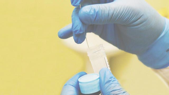 Covid, oltre 200 positivi a San Benedetto. Ad Ascoli quasi 400 persone in quarantena
