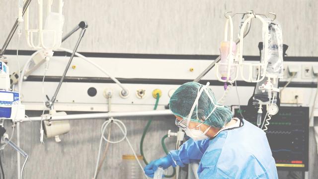 Regione Marche, un solo decesso nelle ultime 24 ore. La vittima è una 95enne della provincia di Pesaro-Urbino