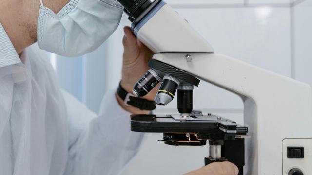 Una presa in carico efficace e personalizzata con la nuova Rete Malattie Infettive della Regione Marche