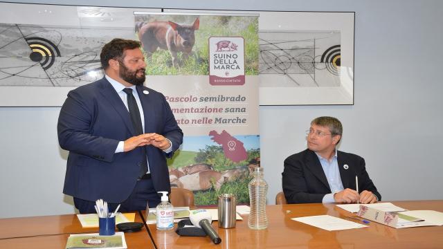 Il ''Suino della Marca'' per vincere la sfida della zootecnia sostenibile attraverso il recupero della biodiversità