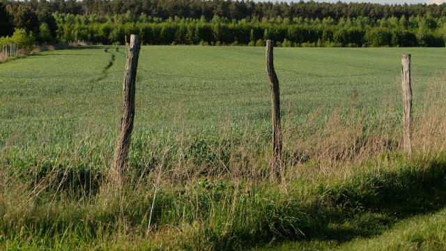 Aree interne e montane, presidente Cia Ascoli-Fermo-Macerata sottolinea emergenza anche per zona centro-sud delle Marche