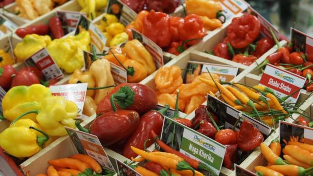 Coldiretti Marche, tra crisi e clima tagli alle produzioni agricole: dal bio la risposta