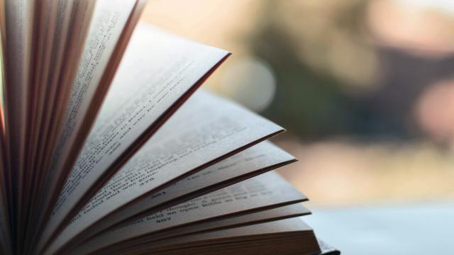 San Benedetto del Tronto si candida a Capitale Italiana del Libro 2026