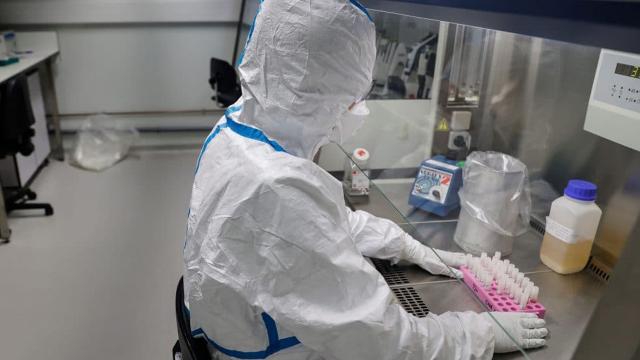 Regione Marche, registrati 490 positivi su quasi 2000 tamponi di nuove diagnosi