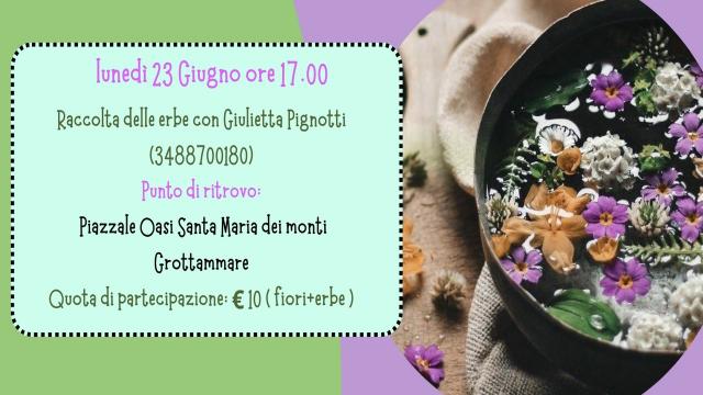 Grottammare si prepara a vivere la magia della Notte di San Giovanni con un ricco programma