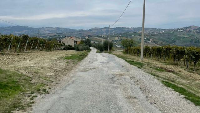 Offida, iniziati lavori di sistemazione della strada comunale Grifola