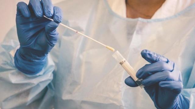 Coronavirus Marche, 200 nuovi positivi nelle ultime 24 ore. Poco più di 1860 i tamponi effettuati